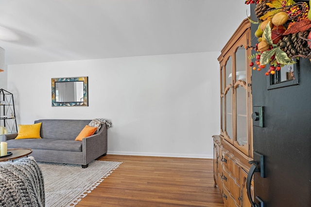 living room featuring hardwood / wood-style flooring