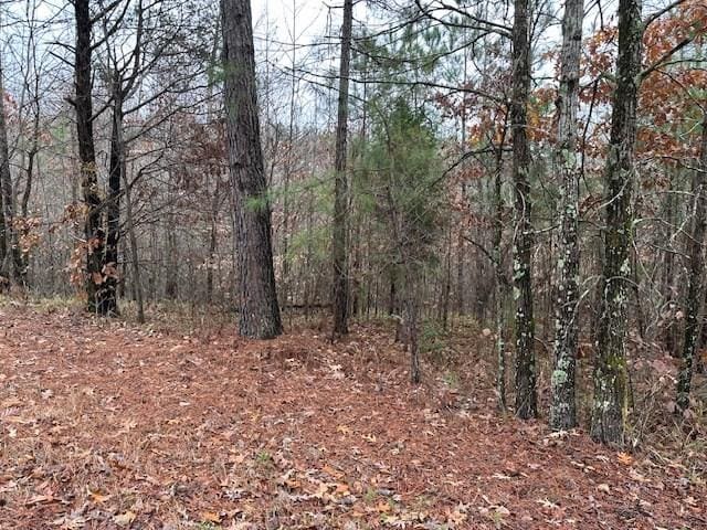0 Sawyers Mill Rd, Camden, TN 38320