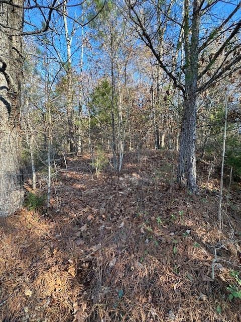 0 Sawyers Mill Rd, Camden, TN 38320