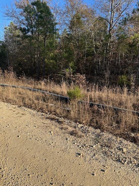 0 Sawyers Mill Rd, Camden, TN 38320