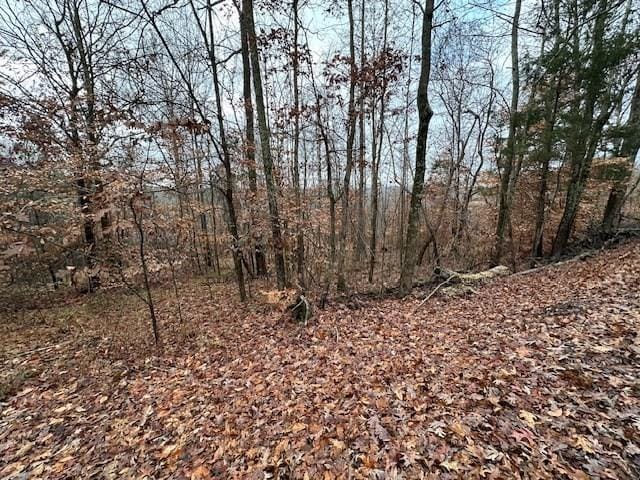 0 Sawyers Mill Rd, Camden, TN 38320