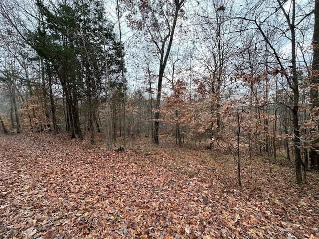 0 Sawyers Mill Rd, Camden, TN 38320