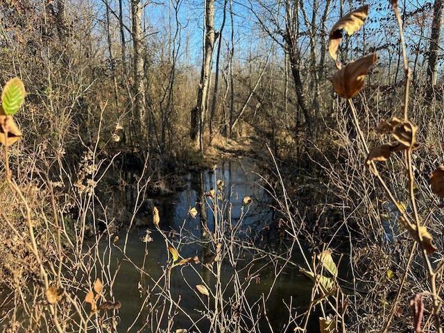 0 Sawyers Mill Rd, Camden, TN 38320