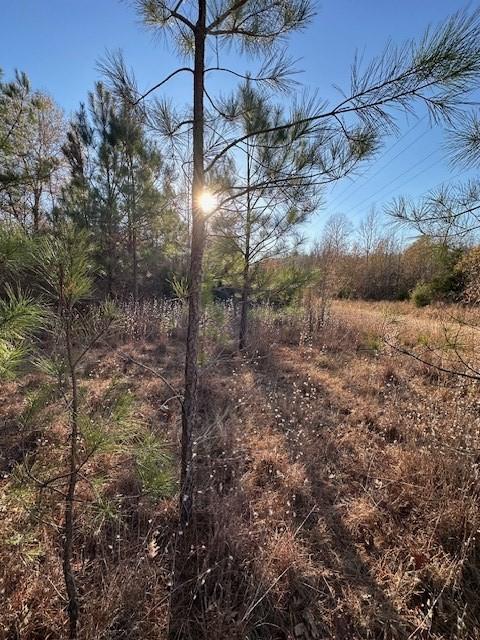 0 Sawyers Mill Rd, Camden, TN 38320