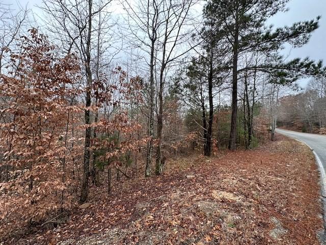 0 Sawyers Mill Rd, Camden, TN 38320
