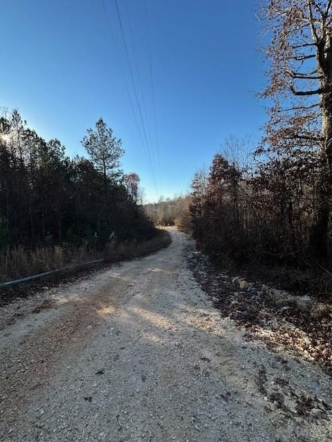0 Sawyers Mill Rd, Camden, TN 38320