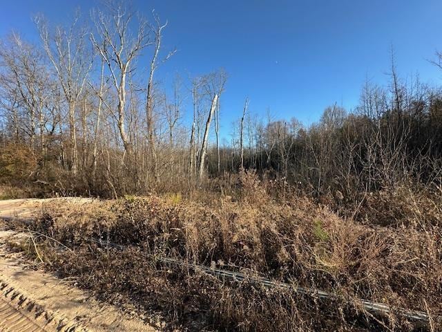 0 Sawyers Mill Rd, Camden, TN 38320
