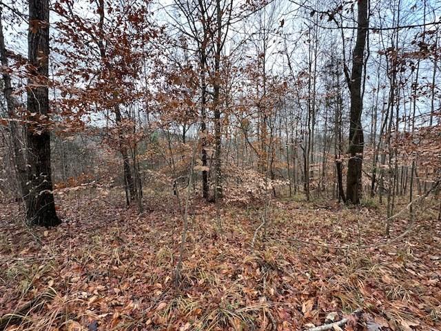 0 Sawyers Mill Rd, Camden, TN 38320