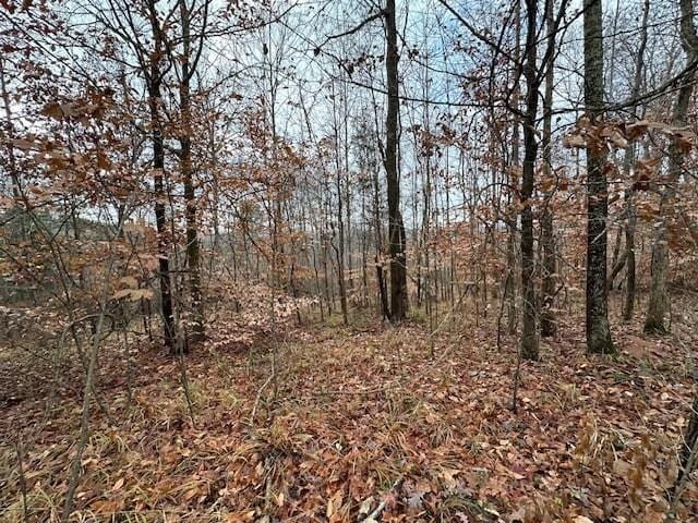 0 Sawyers Mill Rd, Camden, TN 38320