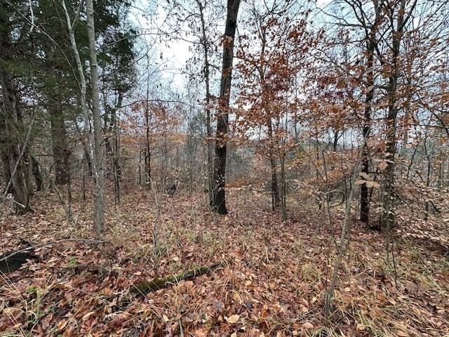 0 Sawyers Mill Rd, Camden, TN 38320