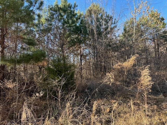0 Sawyers Mill Rd, Camden, TN 38320