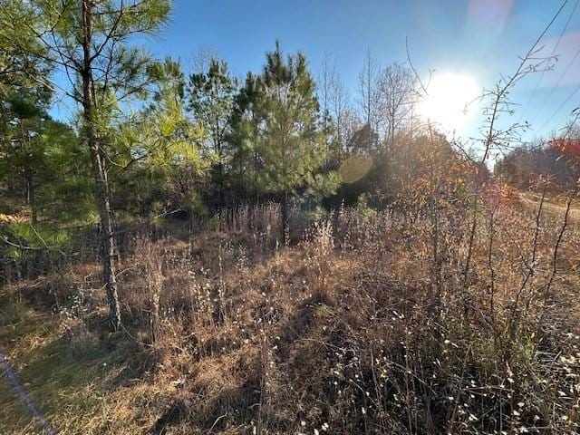 0 Sawyers Mill Rd, Camden, TN 38320