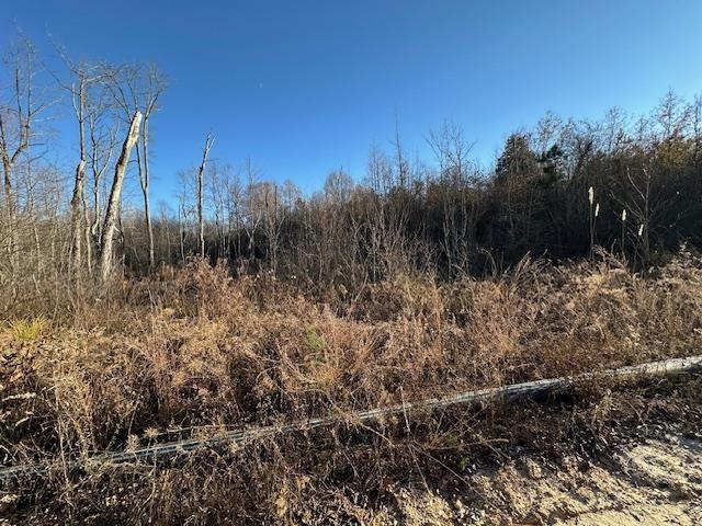 0 Sawyers Mill Rd, Camden, TN 38320