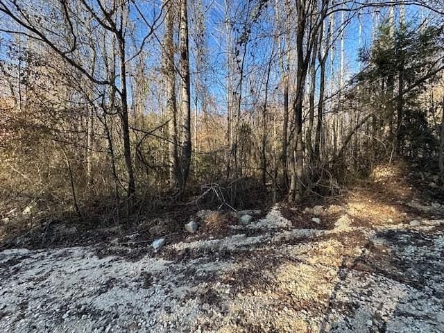 0 Sawyers Mill Rd, Camden, TN 38320