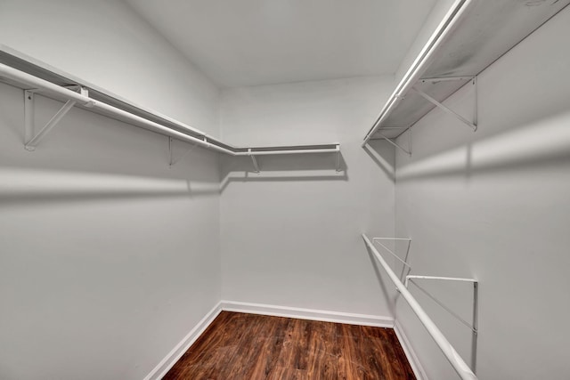 walk in closet featuring dark hardwood / wood-style flooring