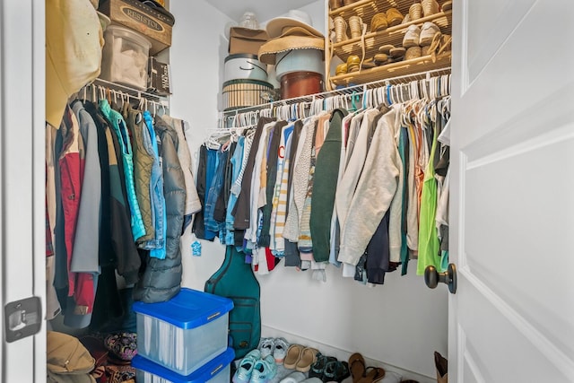 view of walk in closet