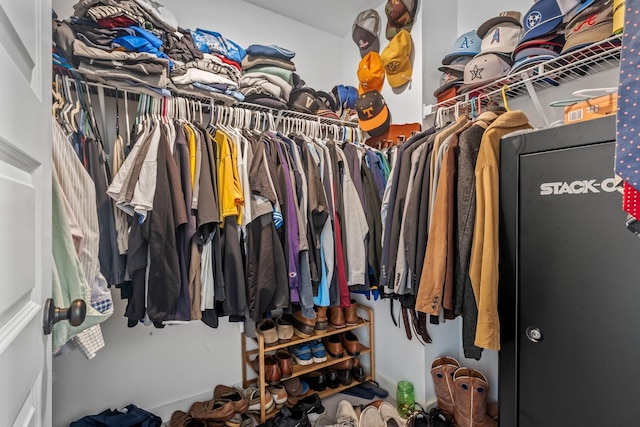 view of walk in closet