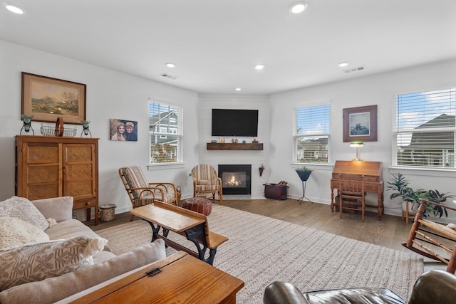 living room featuring a fireplace, a healthy amount of sunlight, and light hardwood / wood-style floors