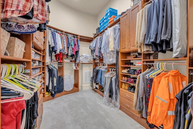 walk in closet with light carpet