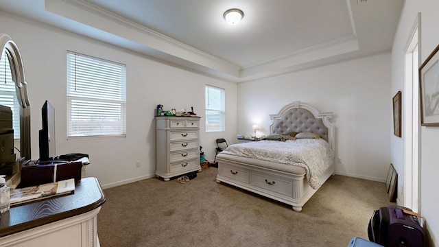 bedroom featuring carpet flooring, a raised ceiling, and multiple windows