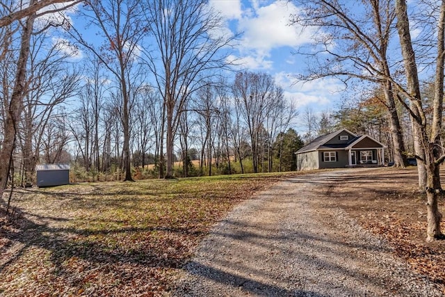 view of yard with a shed