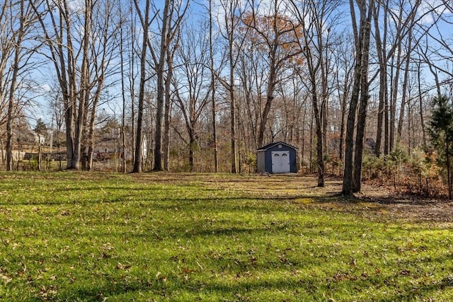 view of yard featuring a storage unit