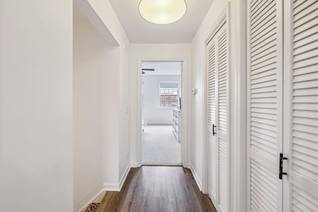 corridor with dark hardwood / wood-style flooring