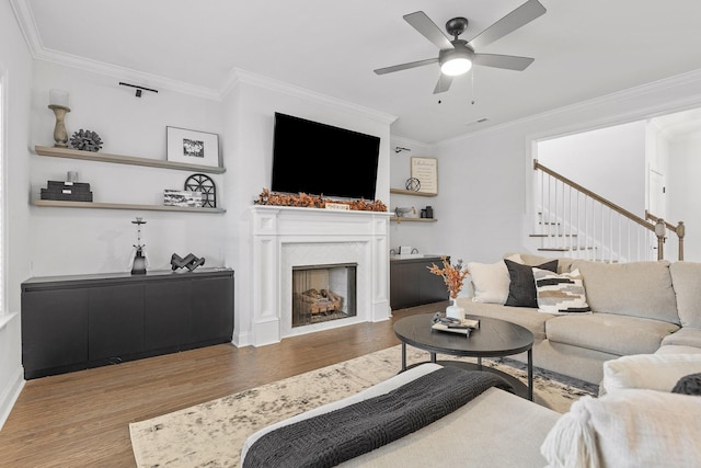 living room featuring ceiling fan, wood-type flooring, and ornamental molding