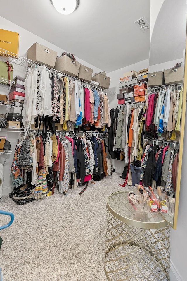 spacious closet with carpet floors