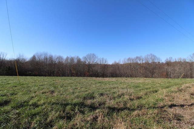 Listing photo 3 for 149 Coley Ct, Lafayette TN 37083