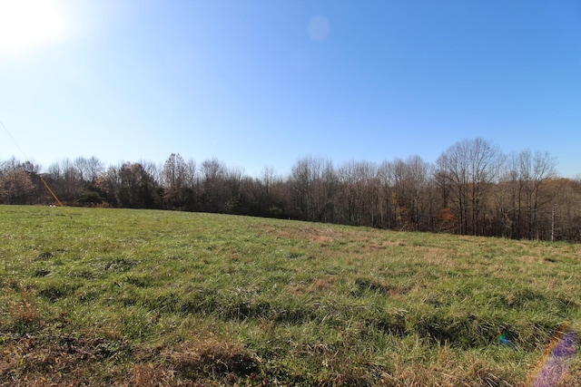 Listing photo 2 for 149 Coley Ct, Lafayette TN 37083