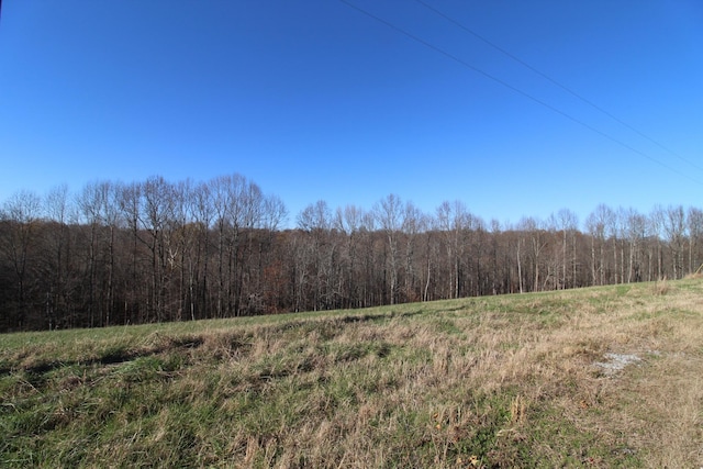 Listing photo 2 for 171 Coley Ct, Lafayette TN 37083