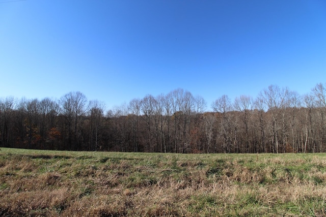 171 Coley Ct, Lafayette TN, 37083 land for sale