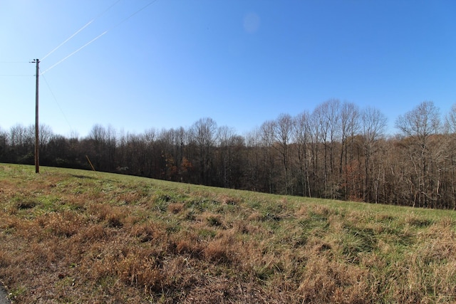 Listing photo 3 for 171 Coley Ct, Lafayette TN 37083