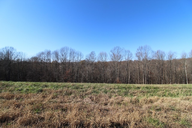 183 Coley Ct, Lafayette, TN 37083