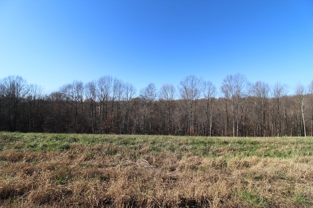 183 Coley Ct, Lafayette TN, 37083 land for sale