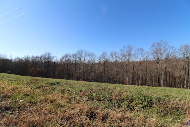 Listing photo 3 for 183 Coley Ct, Lafayette TN 37083