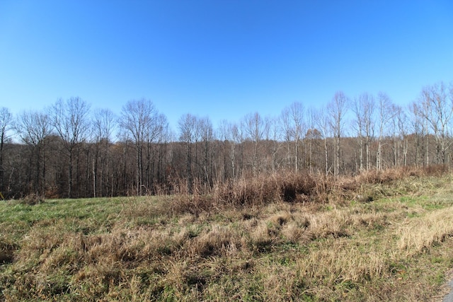 207 Coley Ct, Lafayette, TN 37083