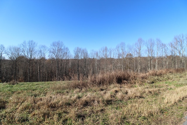 207 Coley Ct, Lafayette TN, 37083 land for sale