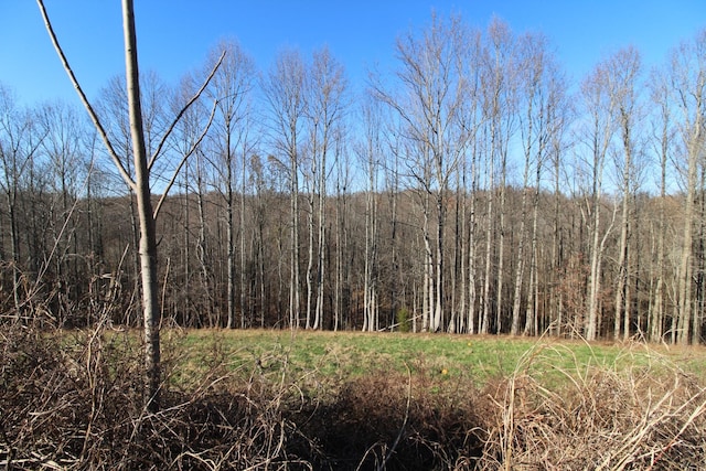 211 Coley Ct, Lafayette, TN 37083