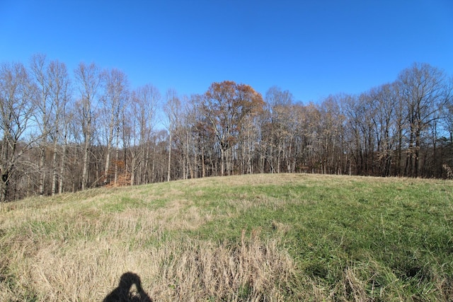 218 Coley Ct, Lafayette, TN 37083