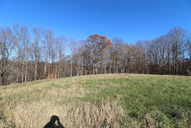 218 Coley Ct, Lafayette TN, 37083 land for sale