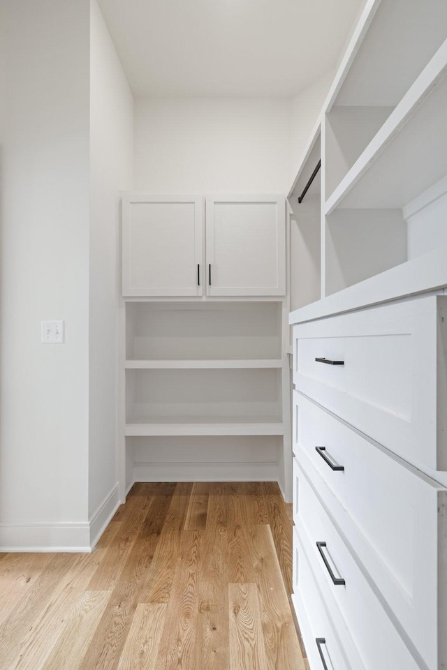 spacious closet with light wood-type flooring