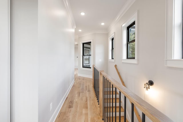 corridor with crown molding and light wood-type flooring