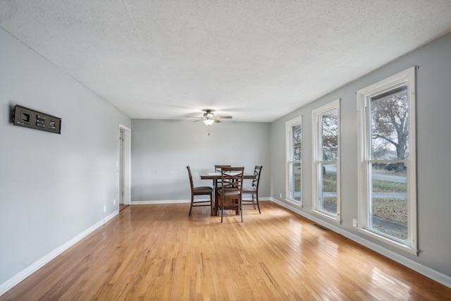 dining space with ceiling fan, light hardwood / wood-style floors, and a textured ceiling