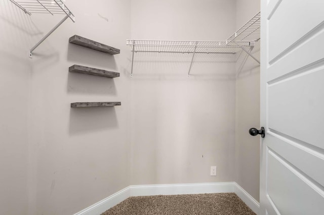 view of walk in closet