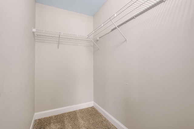 spacious closet with carpet flooring