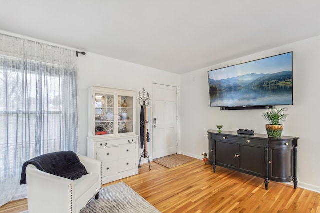 living area with light wood-type flooring