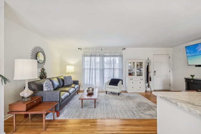 living room with light hardwood / wood-style flooring