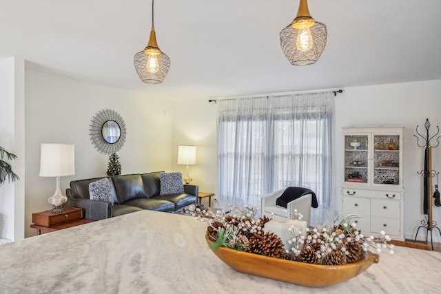 living room with hardwood / wood-style flooring